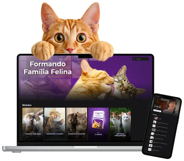 Curso online Formando Família Felina sobre introdução e reintrodução de gatos, no notebook e no celular
