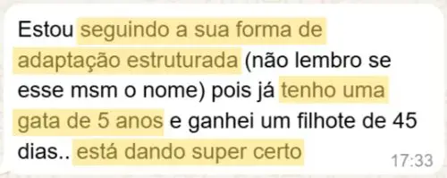 Depoimento de tutora sobre o curso Formando Família Felina