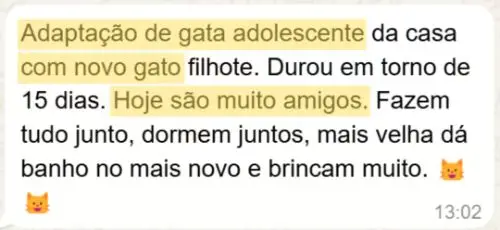 Depoimento de tutora sobre o curso Formando Família Felina